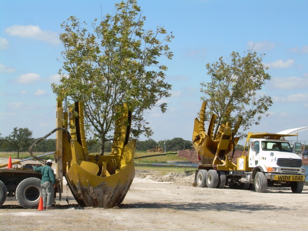 Northpark Entry Plan Balances Flood Mitigation Saving Trees Cost